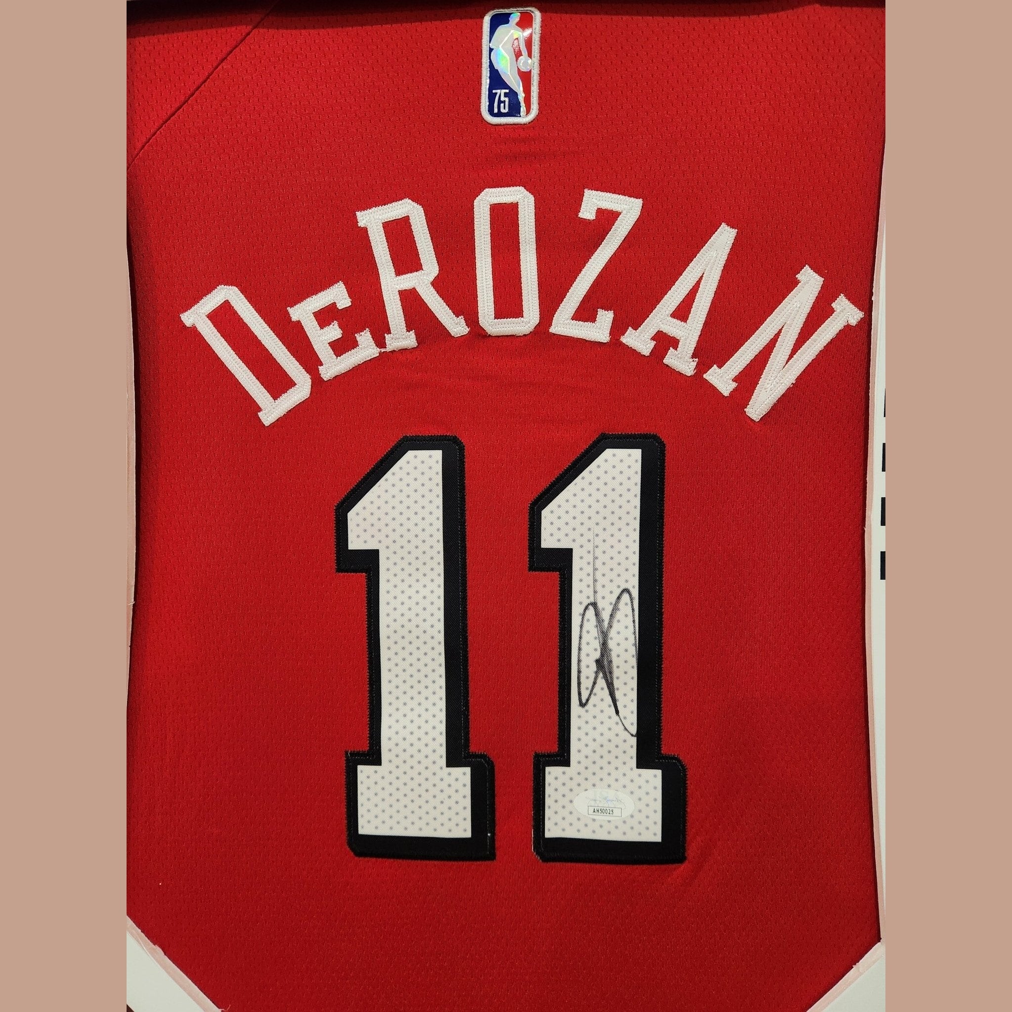 Demar DeRozan Chicago Bulls Signed Jersey - National Treasures Framed **JSA AUTHENTICATED** - 1of1 Collectables