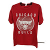 Vintage Chicago Bulls NBA T-Shirt **PERFECT CONDITION** - 1of1 Collectables